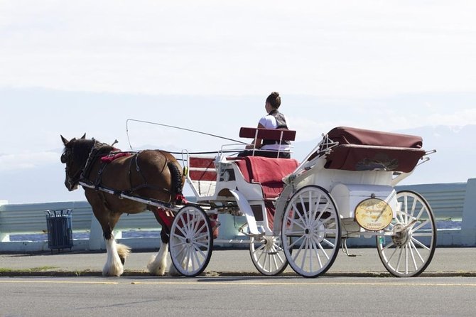 Grand Horse-Drawn Carriage Tour of Victoria - Booking and Confirmation