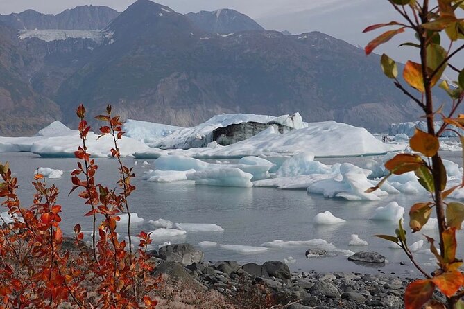 Grand Knik Helicopter Tour - 2 Hours 3 Landings - ANCHORAGE AREA - Additional Policies