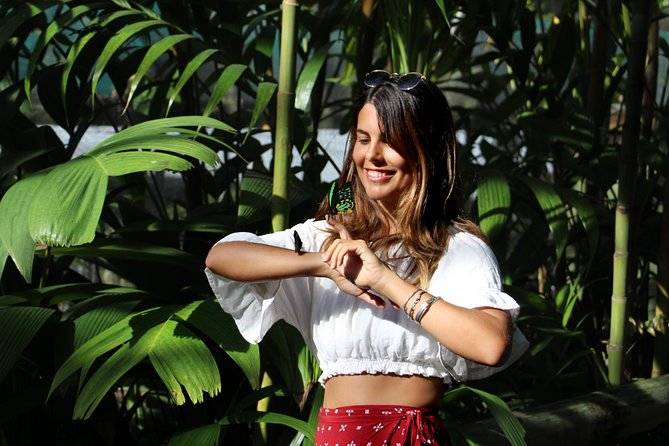 Grand Kuranda Including Skyrail and Kuranda Scenic Railway - Australian Butterfly Sanctuary