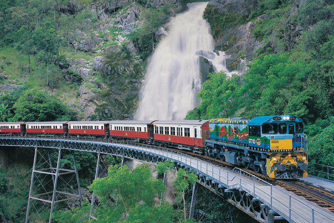 Grand Kuranda Including Skyrail and Kuranda Scenic Railway - Koala and Wildlife Park