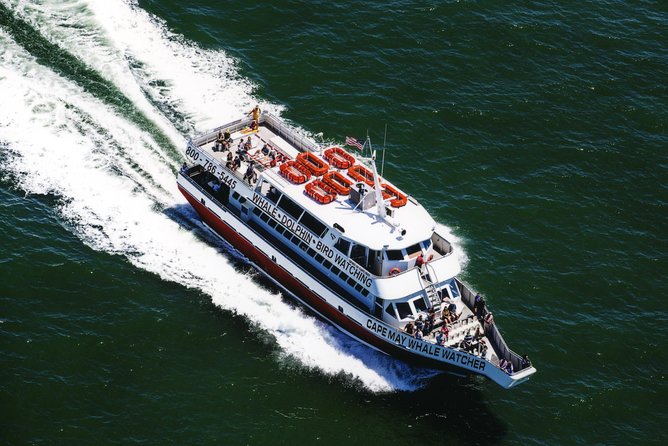 Grand Lighthouse Tour From Cape May - Tour Highlights