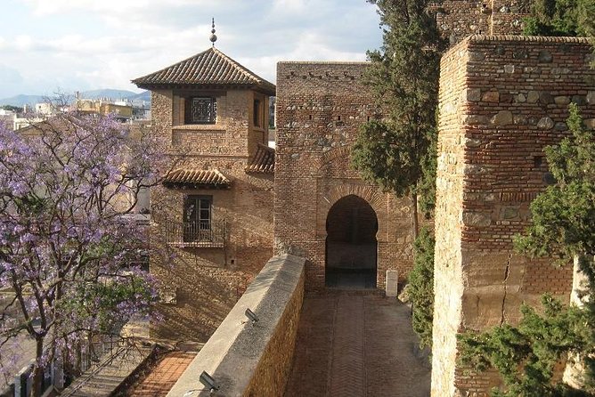 Grand Private Tour. the Best of Malaga and Its Surroundings - Additional Information