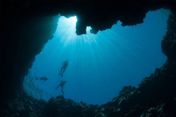Grand Safari Including Snorkeling at the Blue Hole and a Camel Ride Along the Gulf of Aqaba - Pickup and Drop-off Services