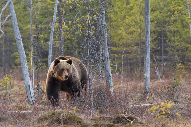 Grand Teton and Its Wildlife: Private Guided Tour - Booking and Cancellation Policy