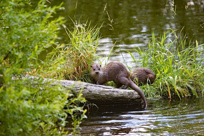 Grand Teton and Its Wildlife: Private Guided Tour - Exploring the Grand Teton Landscape