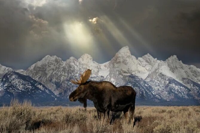 Grand Teton and Native American Petroglyph Tour - Itinerary Highlights