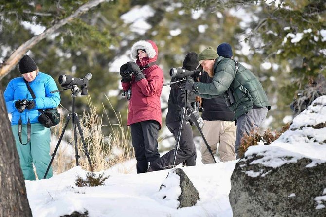 Grand Teton and Native American Petroglyph Tour - Wildlife Spotting