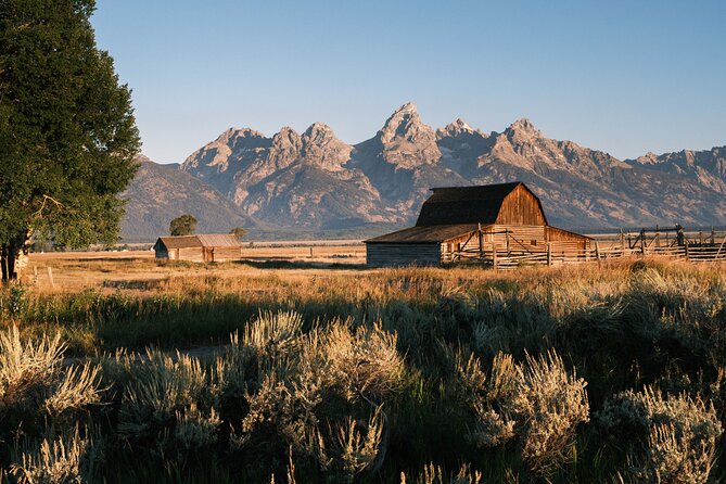 Grand Teton Half Day Private Bike Tour - Tour Experience and Activity