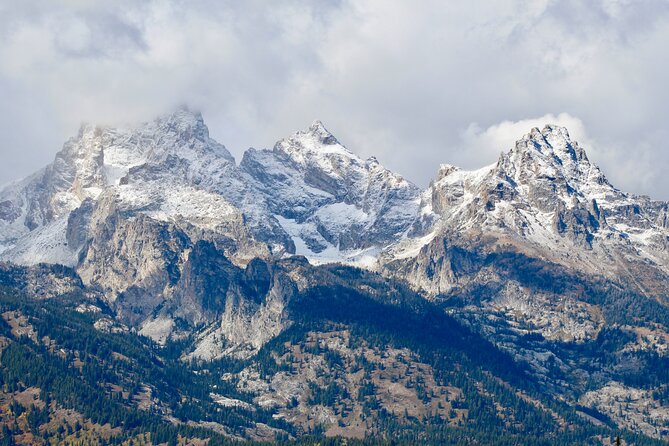 Grand Teton Half Day Tour - Highlights and Inclusions
