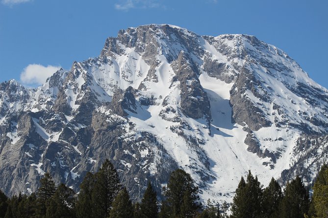 Grand Teton Half Day Tour - Wildlife Viewing Opportunities