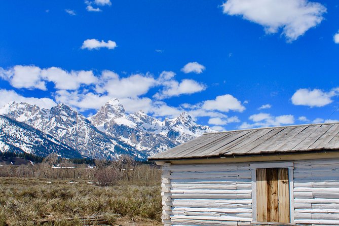 Grand Teton Half Day Tour - Comfortable Transportation