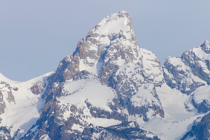 Grand Teton Half Day Tour - Customer Testimonials