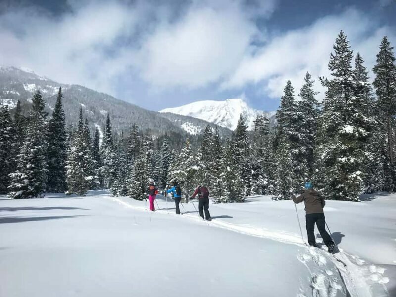 Grand Teton National Park: 4-Hour Beginner Cross-Country Ski - Introduction: A Scenic and Educational Cross-Country Ski Experience