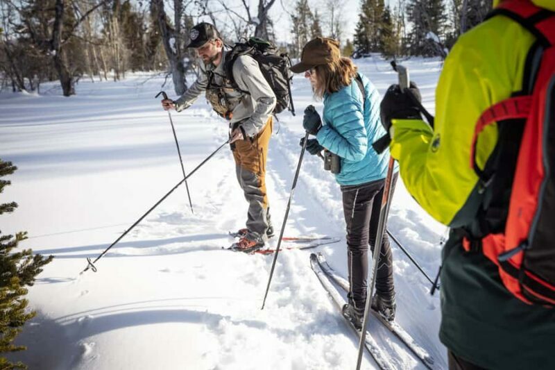 Grand Teton National Park: 4-Hour Beginner Cross-Country Ski - Who is This Tour Best Suited For?