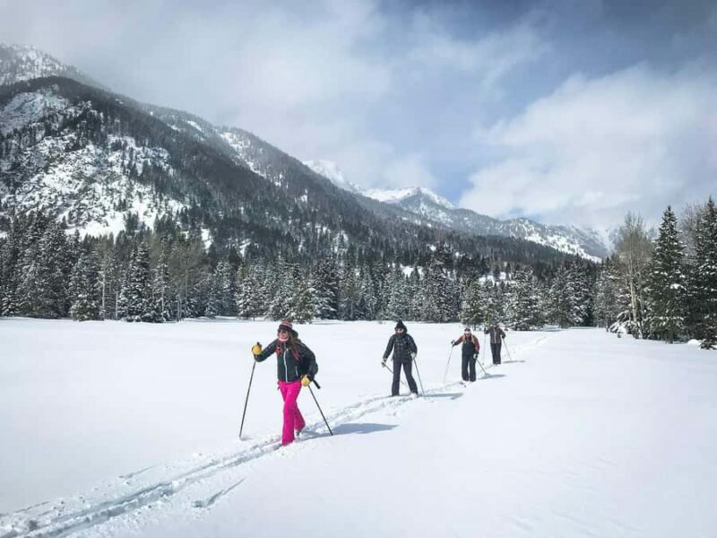 Grand Teton National Park: 4-Hour Beginner Cross-Country Ski - Final Thoughts: Is This Tour Worth It?