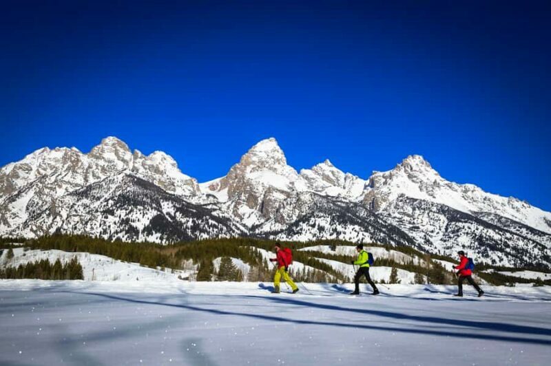 Grand Teton National Park: 4-Hour Beginner Cross-Country Ski - FAQ