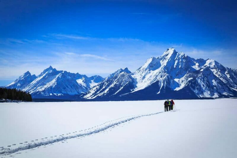 Grand Teton National Park: 4-Hour Easy Snowshoeing Tour - What’s Included and Practical Details