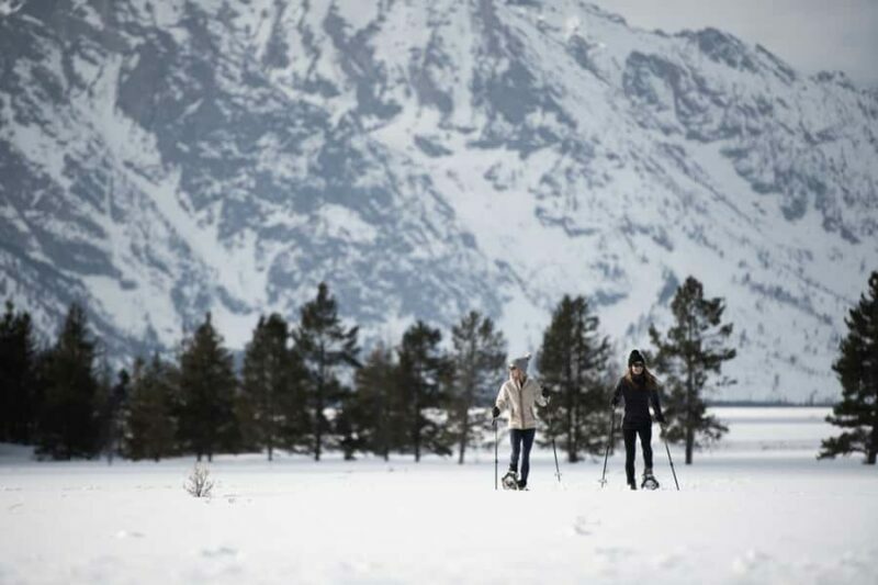 Grand Teton National Park: 4-Hour Easy Snowshoeing Tour - Who Is This Tour Best For?