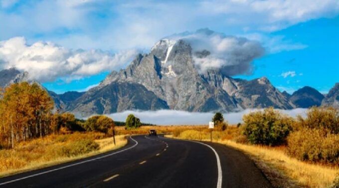 Grand Teton National Park: 4-Hour Guided Wildlife Adventure - Customer Feedback
