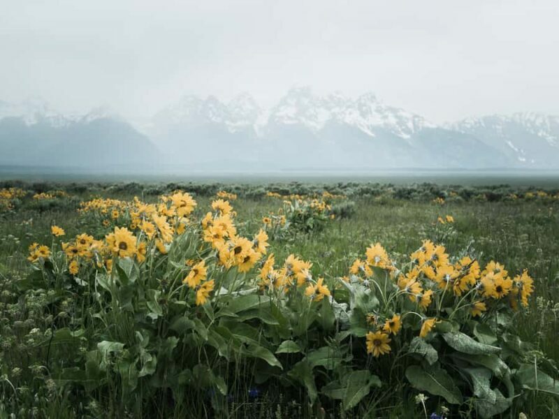 Grand Teton National Park: Professional Portrait Photoshoot - FAQ