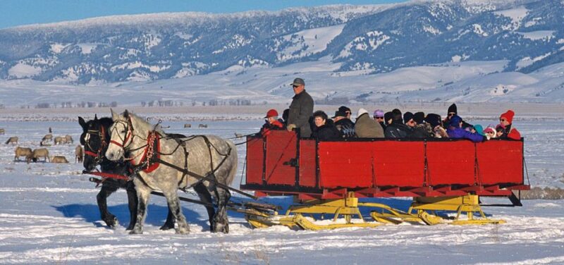 Grand Teton National Park: Wildlife Tour and Sleigh Ride - Seasonal Variations