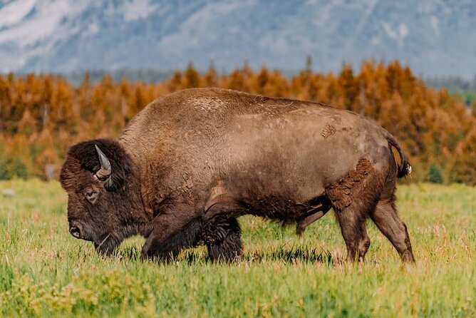 Grand Teton: Private Sunrise Tour - The Sunrise Experience