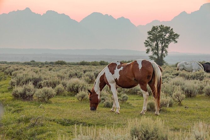 Grand Teton: Private Sunset Tour - Booking Information