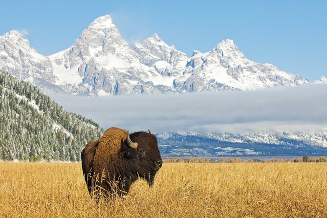 Grand Teton Self-Guided Driving Audio Tour - Offline Maps for Navigation