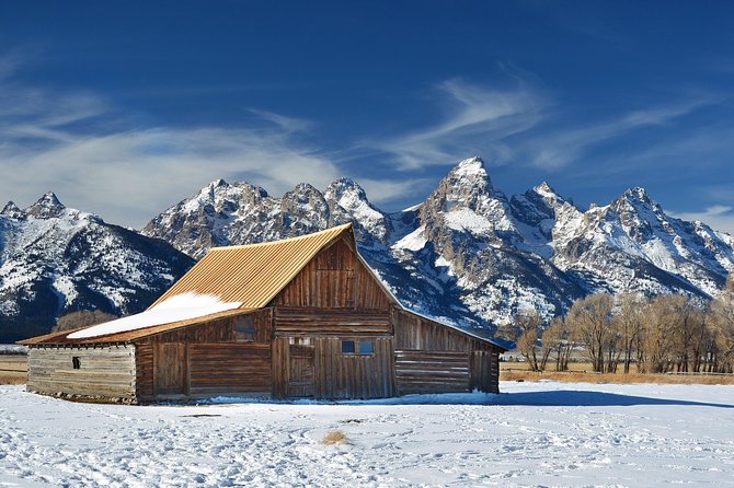 Grand Teton Wildlife Safari in a Enclosed or Open-Air Vehicle (Season Dependent) - Seasonal Variations
