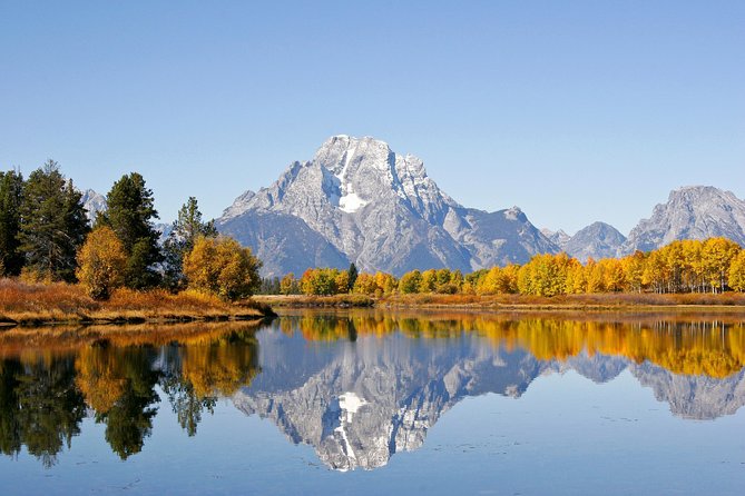 Grand Teton Wildlife Safari Tour - Photography Tips