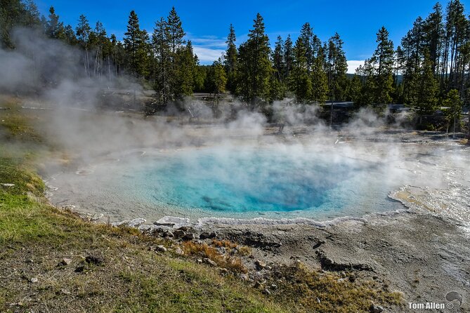 Grand Teton, Yellowstone, Devils Tower and Mount Rushmore 7-day Tour - Wildlife Sightings