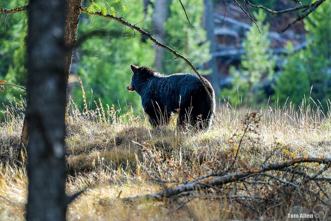 Grand Teton, Yellowstone, Devils Tower and Mount Rushmore 7-day Tour - Leave No Trace Commitment