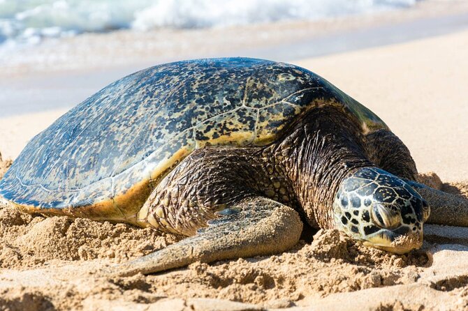Grand Tour Around Island 16 Locations Plus Snorkeling - Just The Basics