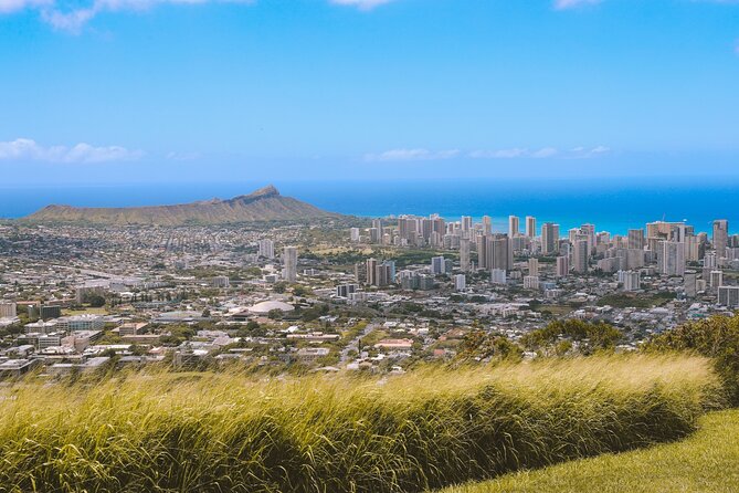 Grand Tour Around Oahu- Swim at Waterfall & Turtle Beach - Inclusions