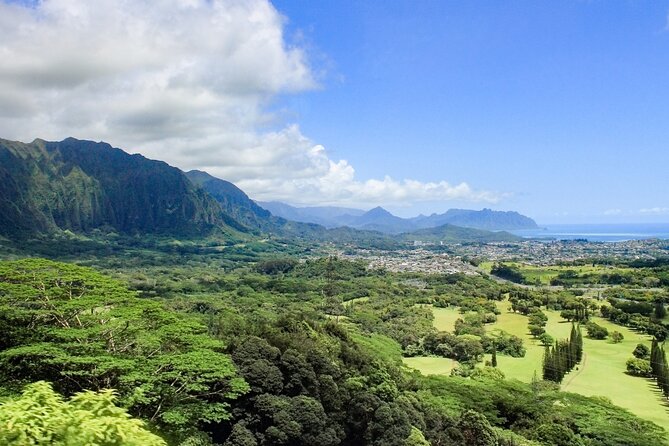 Grand Tour Around Oahu- Swim at Waterfall & Turtle Beach - Highlights of the Tour
