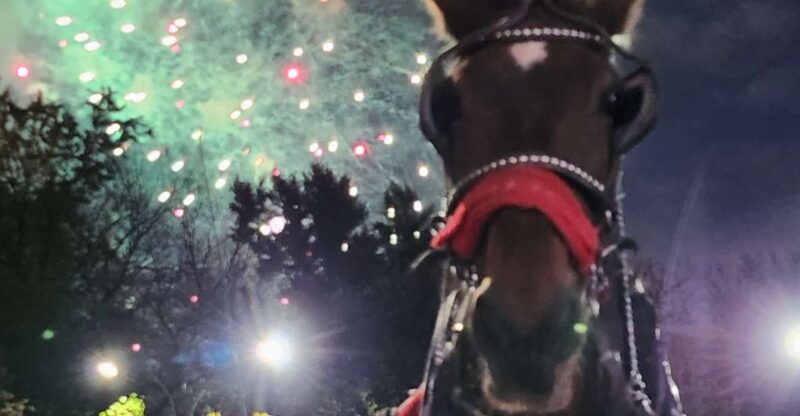 Grand Tour: Central Park, Rockefeller Center & Times Square - Entertainment and Attractions