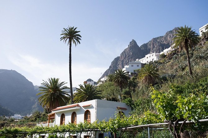 Grand Tour in Gran Canaria - What to Expect