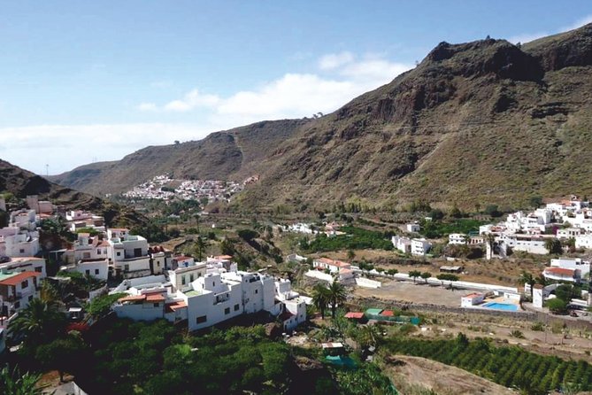 Grand Tour in Gran Canaria - Tour Reviews
