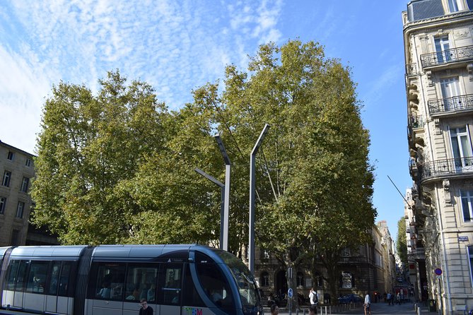 Grand Tour of Bordeaux by Bike - Traversing the Citys Architectural Gems