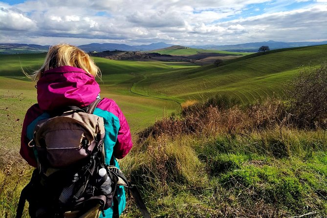 Grand Tour of Pienza, Montalcino, Montepulciano + Wine and Cheese Tasting - Savoring Local Cheese and Snacks