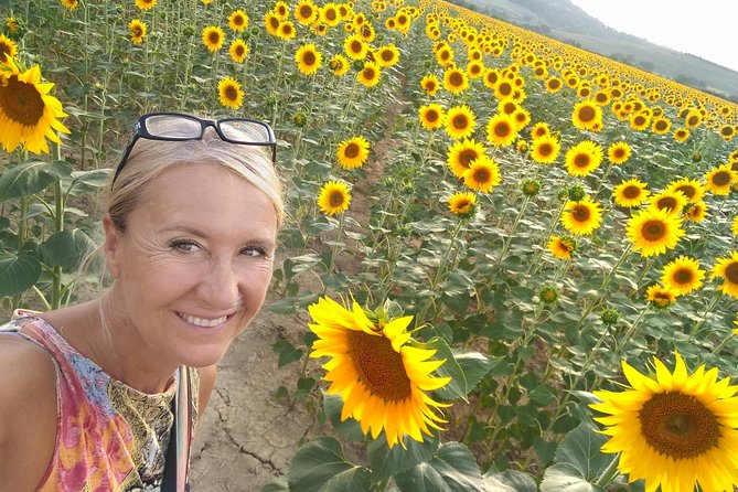 Grand Tour of Pienza, Montalcino, Montepulciano + Wine and Cheese Tasting - Private Transportation and Small Group Experience