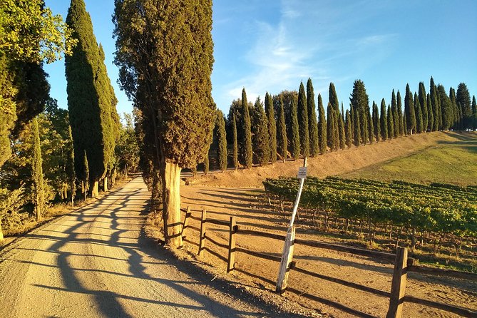 Grand Tour of Pienza, Montalcino, Montepulciano + Wine and Cheese Tasting - Since You Asked