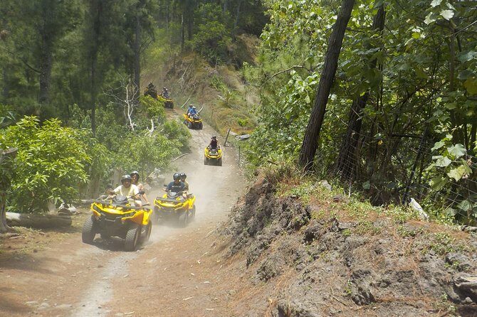Grand Tour Quad Excursion in Moorea (Single or Two-Seater) - The Sum Up
