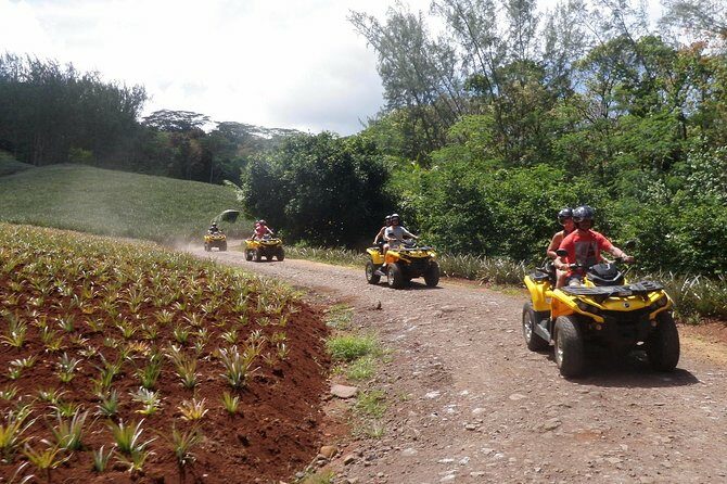 Grand Tour Quad Excursion in Moorea (Single or Two-Seater) - FAQ