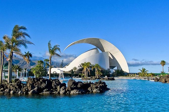 Grand Tour Tenerife - Full-Day Private VIP Tour - Discovering Los Gigantes