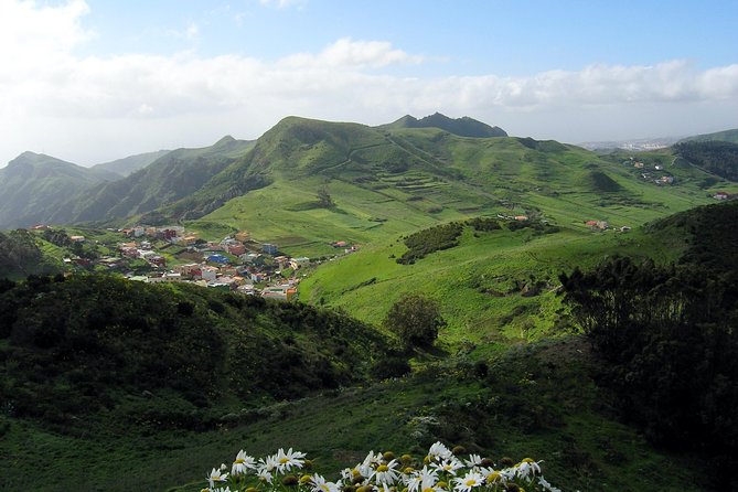 Grand Tour Tenerife - Full-Day Private VIP Tour - Additional Stops