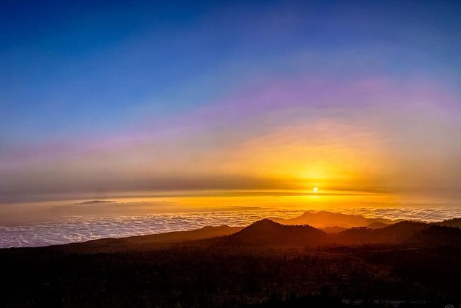 Grand Tour Tenerife - Full-Day Private VIP Tour - Traveler Experiences