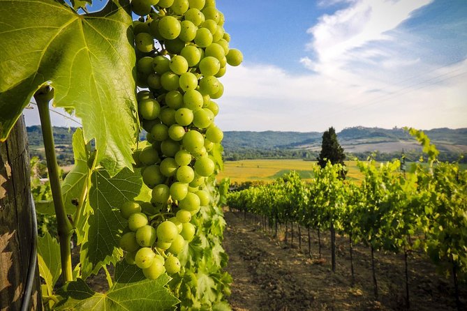Grand Tour to Kakheti for Wine Lovers: Telavi-Kvareli-Sighnaghi - Tasting Unique Georgian Wines