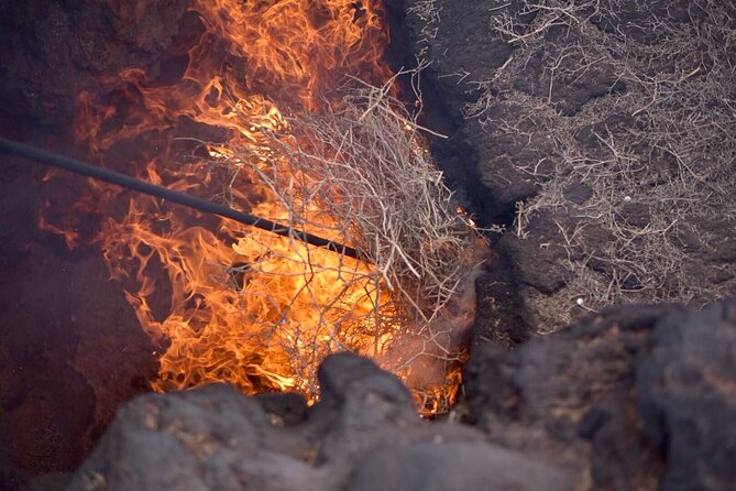 Grand Tour to Timanfaya and Jameos Del Agua for Cruise Passengers - Confirmation and Accessibility