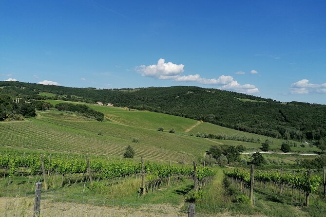 Grand Tuscany Tour From Florence in Vintage Fiat 500 With a Private Driver - Traditional Tuscan Lunch and Wine